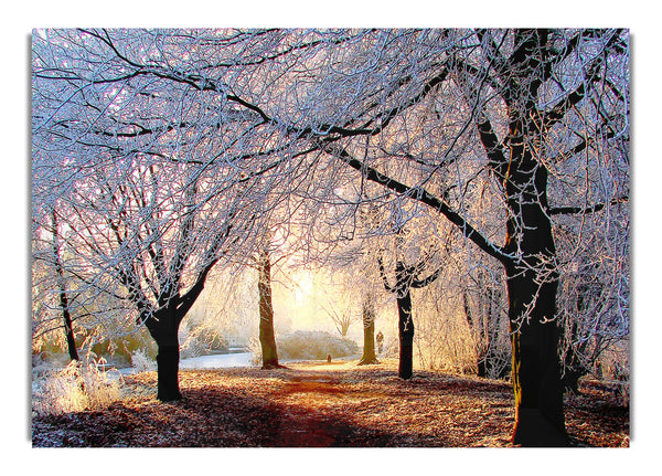 Schönes Winterlicht