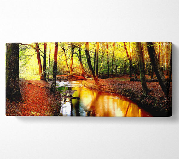 Impressive Autumn Stream