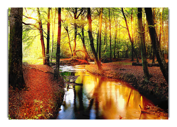 Beeindruckende Herbstlandschaft