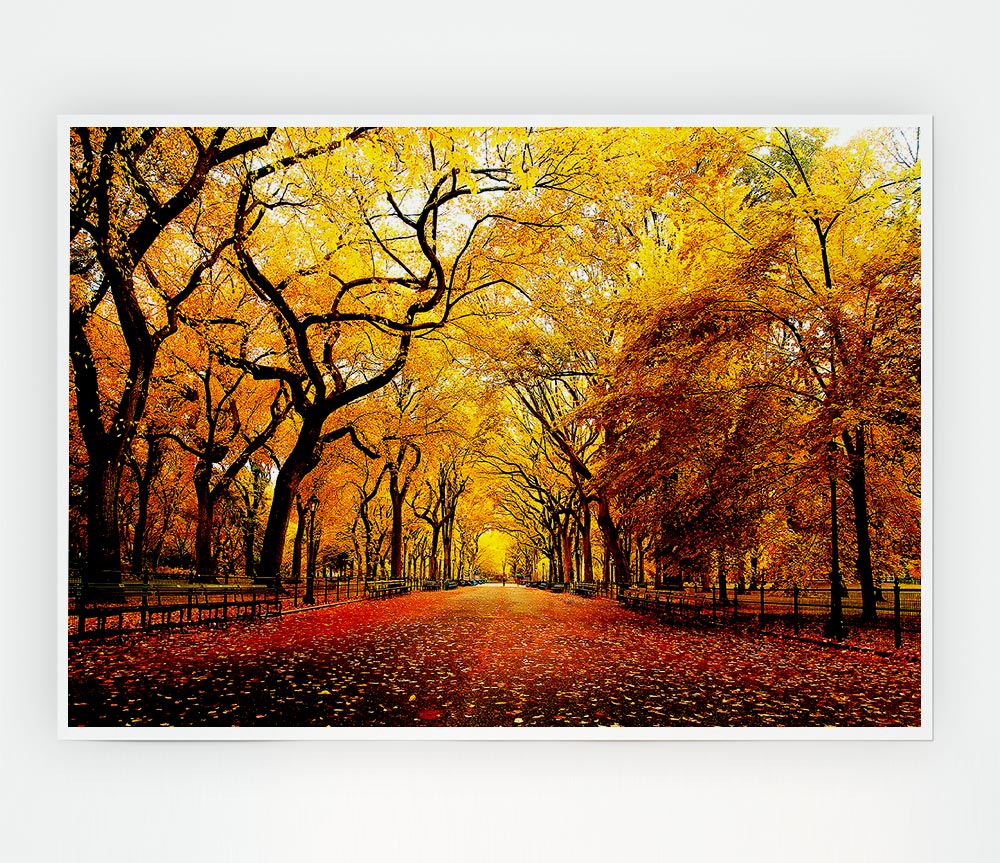 Wide Alley Print Poster Wall Art