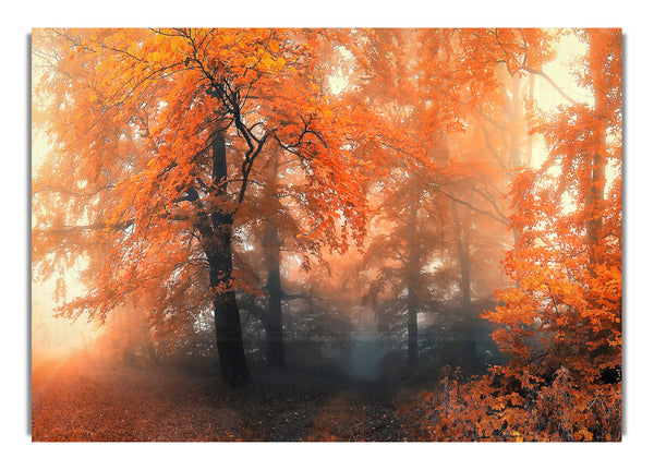 Herbst 19