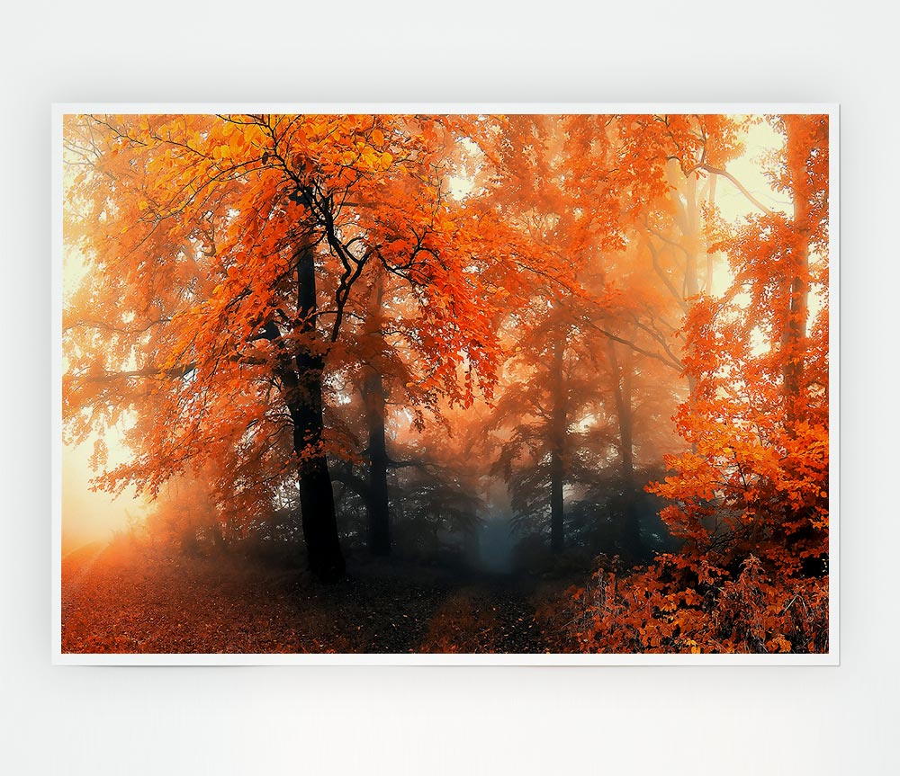 Autumn Orange Mist Print Poster Wall Art