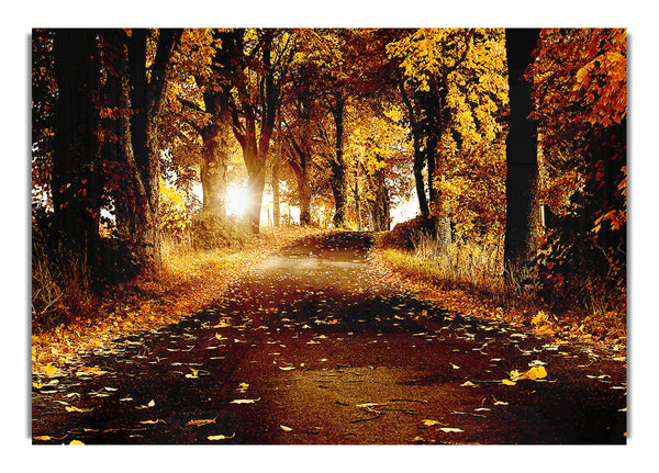 Herbst 20