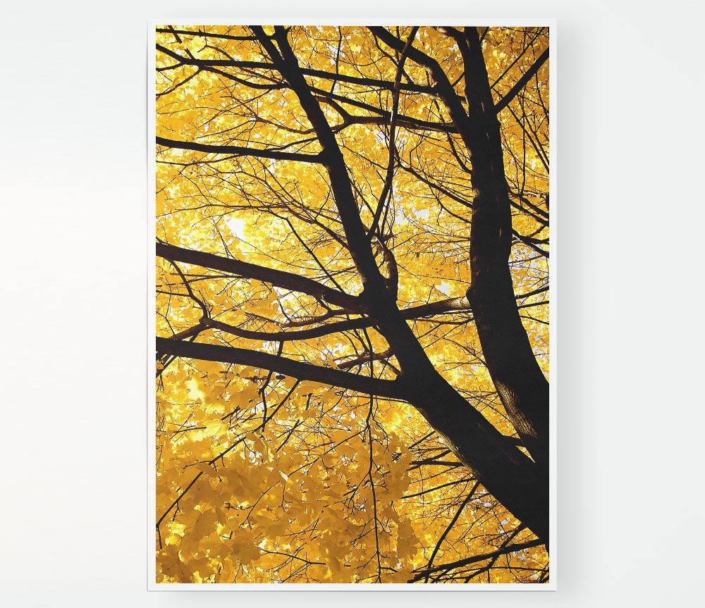 Yellow Autumn Leaves Print Poster Wall Art