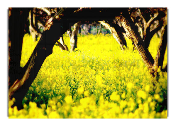 Obstgarten 2