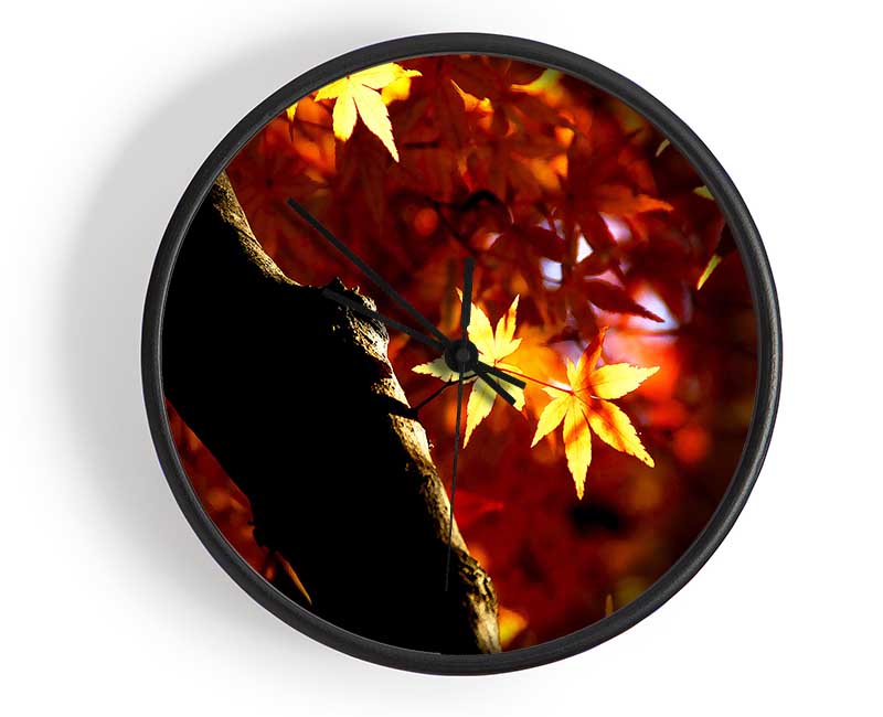 Tree Trunk Autumn Clock - Wallart-Direct UK