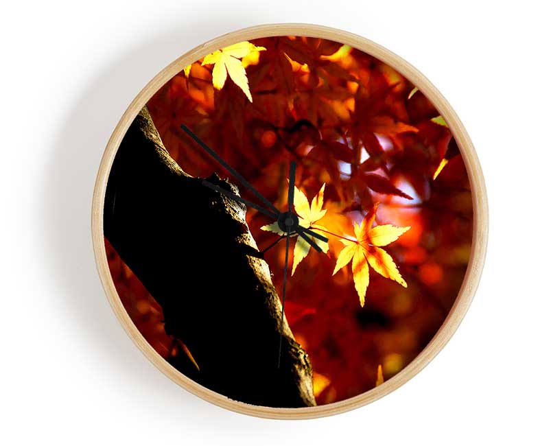 Tree Trunk Autumn Clock - Wallart-Direct UK