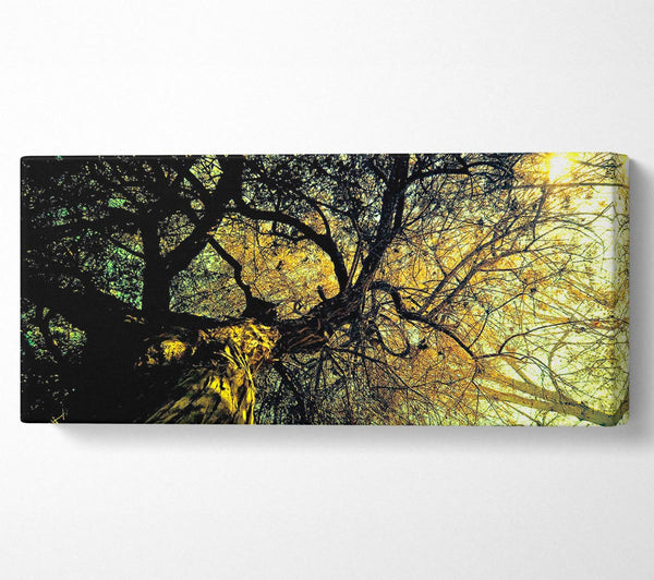 Uralter Baum