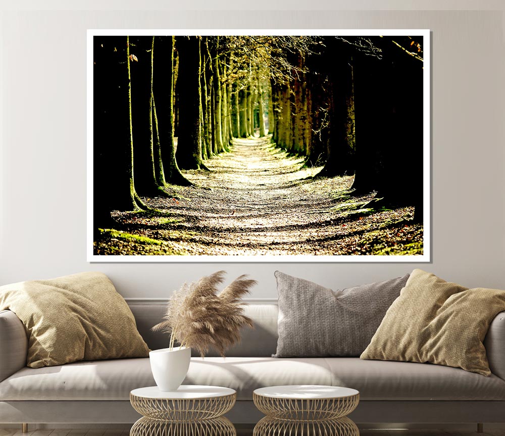 Tree Lined Path Print Poster Wall Art