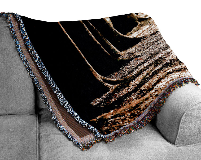 Tree Lined Path Woven Blanket