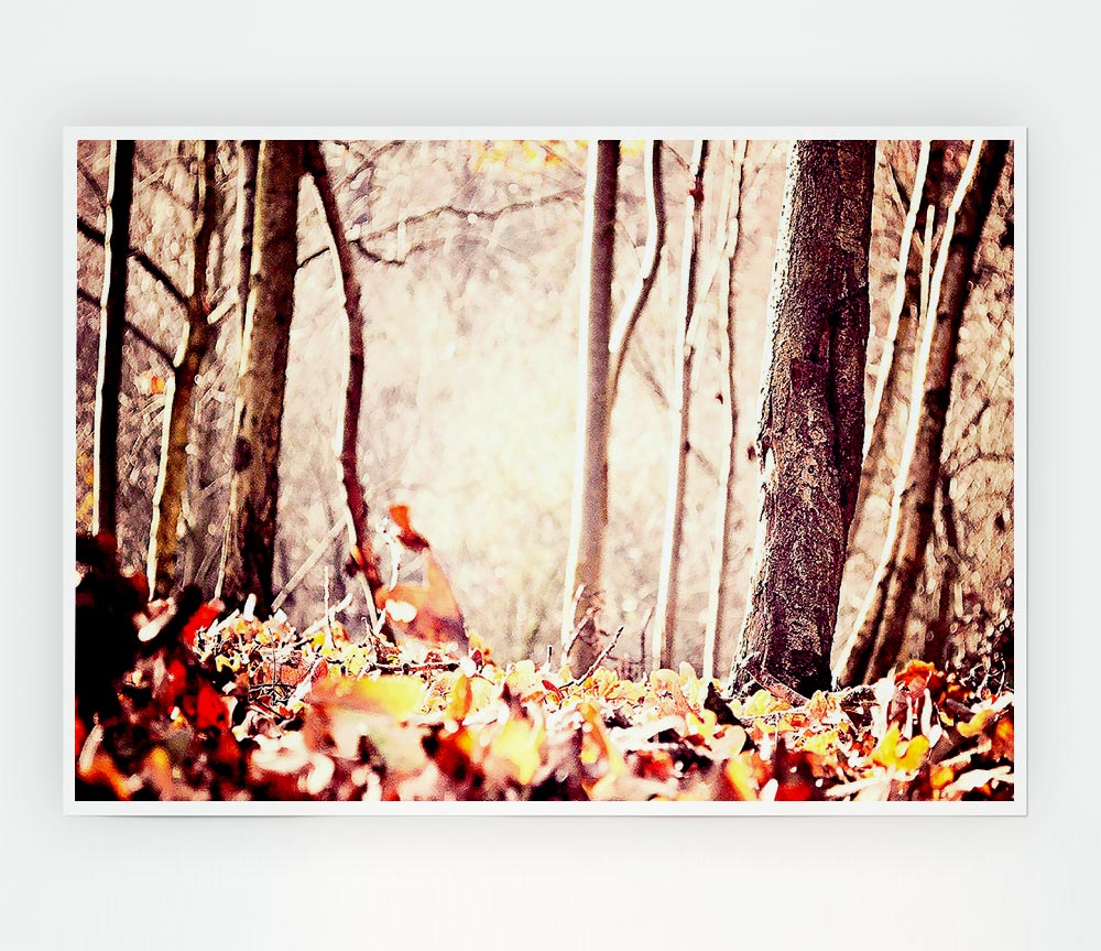Leaves On The Autumn Ground Print Poster Wall Art