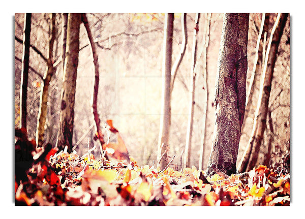 Boden Laub Herbst