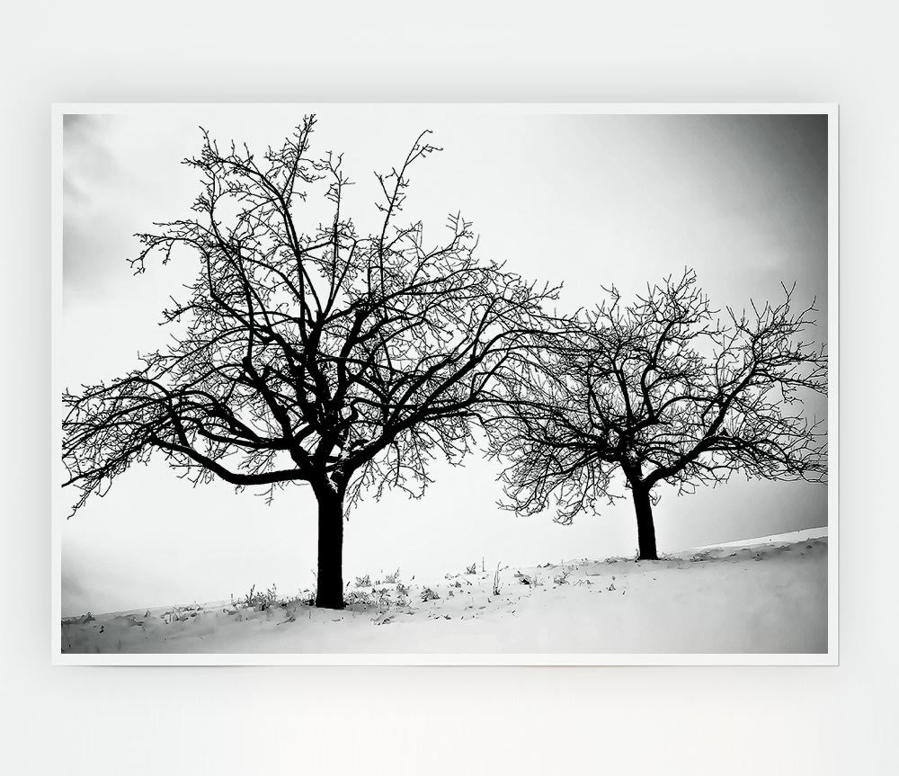 Trees In Winter Print Poster Wall Art