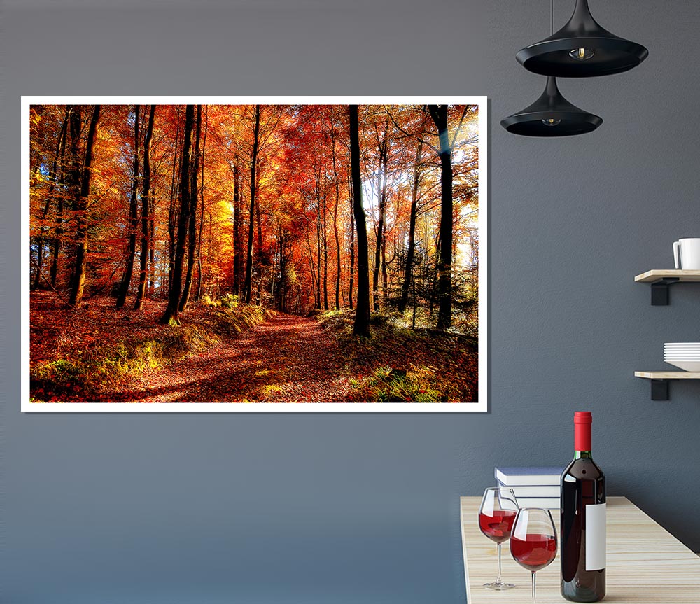 Fall Forest Path Print Poster Wall Art