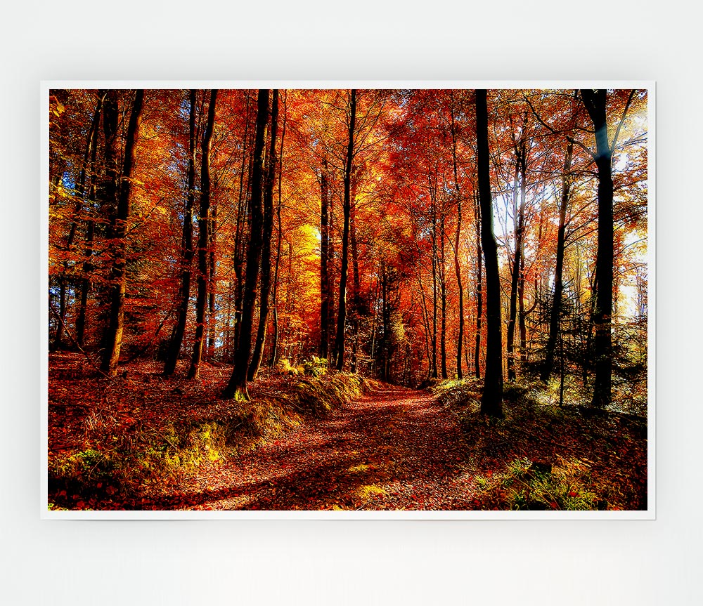 Fall Forest Path Print Poster Wall Art