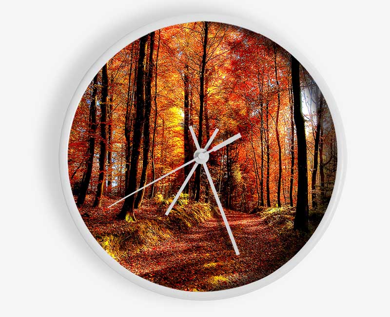 Fall Forest Path Clock - Wallart-Direct UK