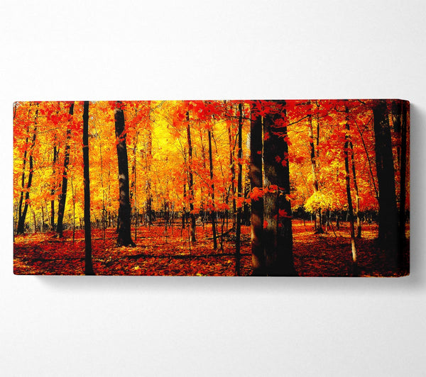In The Depth Of The Orange Forest