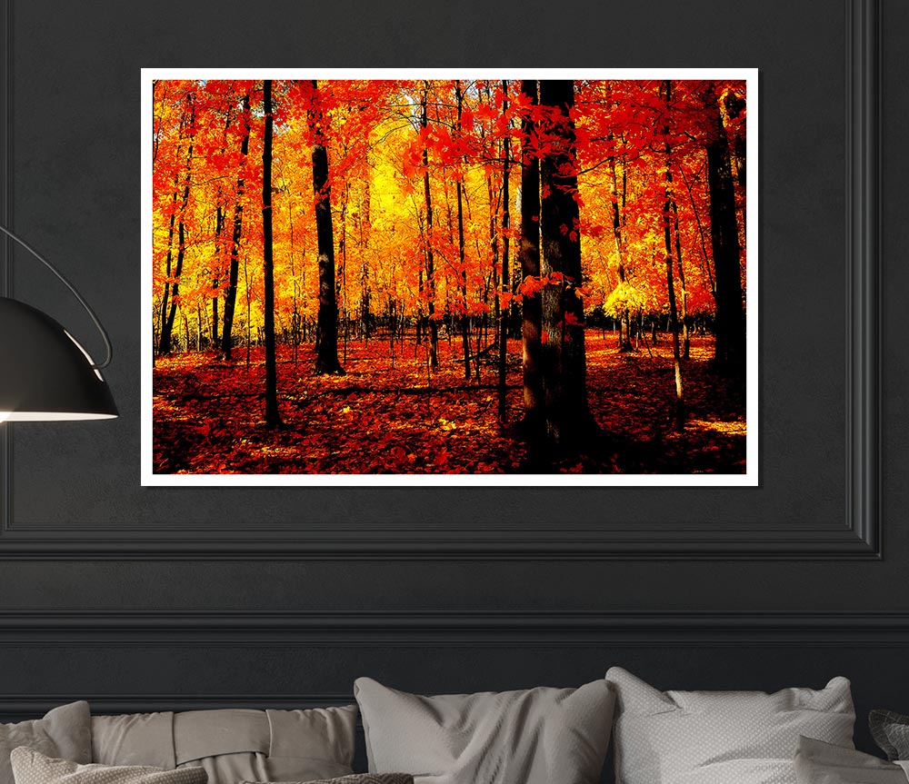 In The Depth Of The Orange Forest Print Poster Wall Art