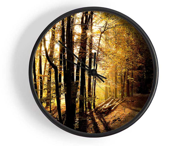Beautiful Forest Road Autumn Clock - Wallart-Direct UK