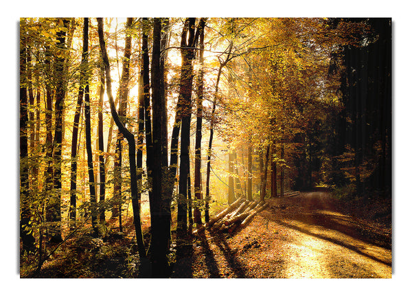 Schöne Waldstraße Herbst