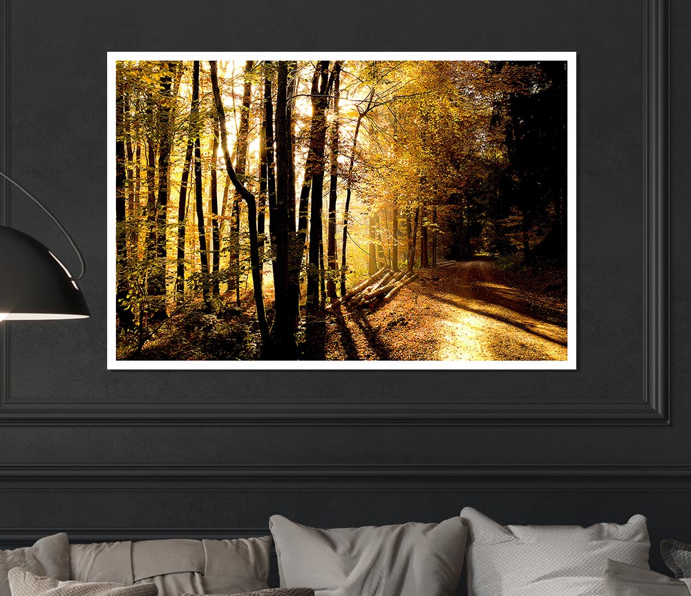 Beautiful Forest Road Autumn Print Poster Wall Art