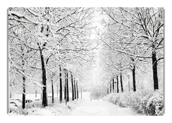 Winter In The Park Black And White