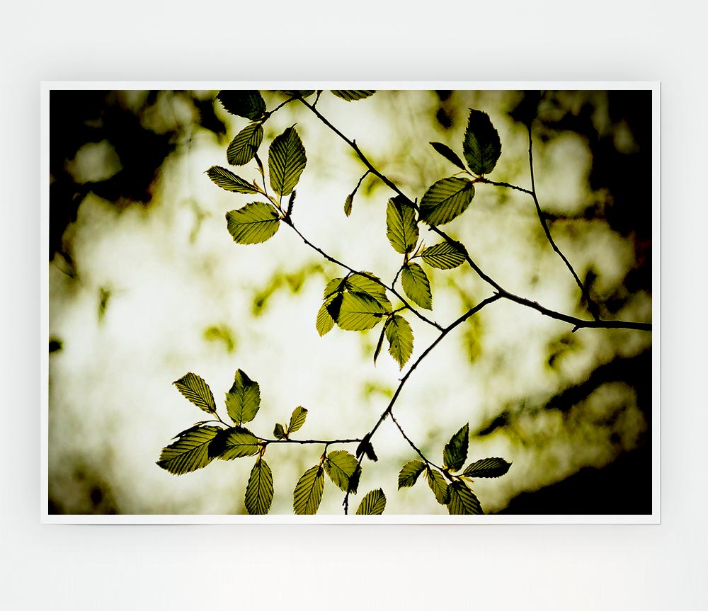 Twigs With Green Leaves Print Poster Wall Art