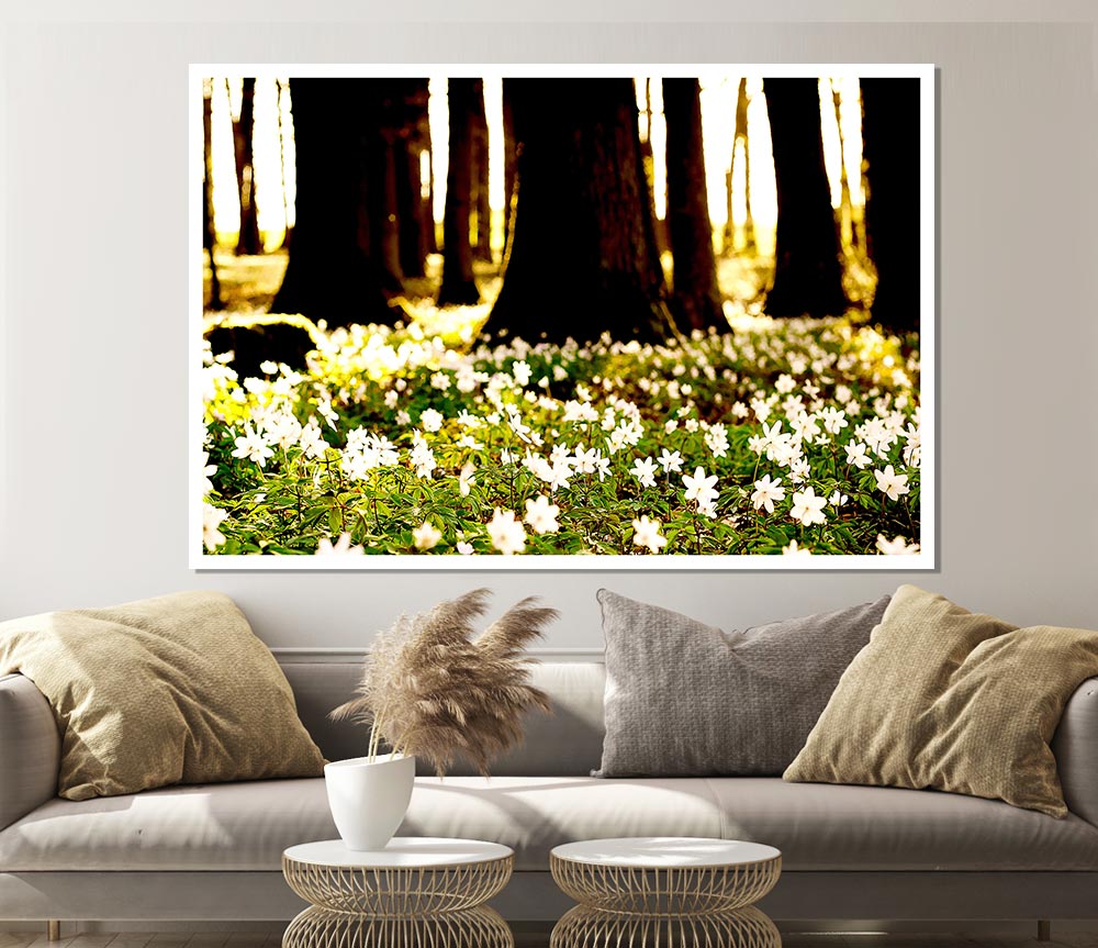 White Forest Flowers Print Poster Wall Art
