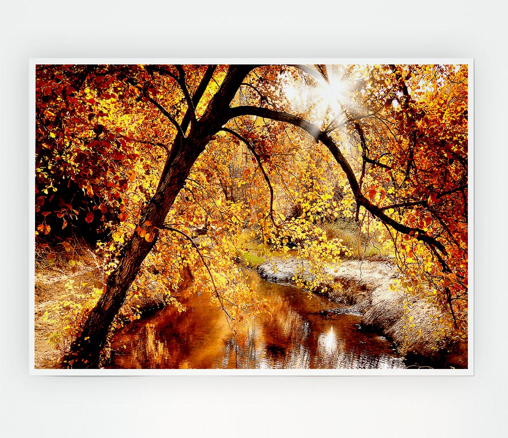 Creek In The Autumn Forest Print Poster Wall Art