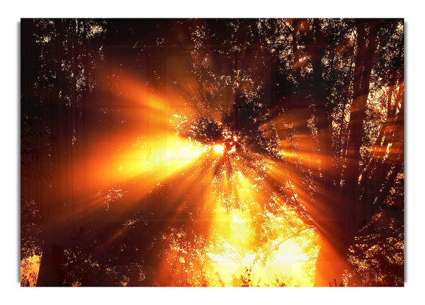 Naturlandschaft Sonne und Himmel 66