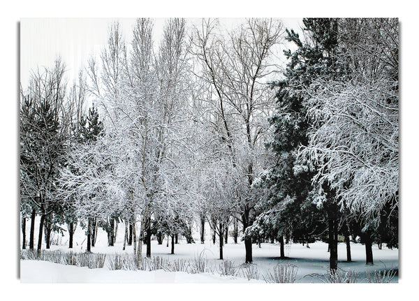 Winter Landscape Nature 9