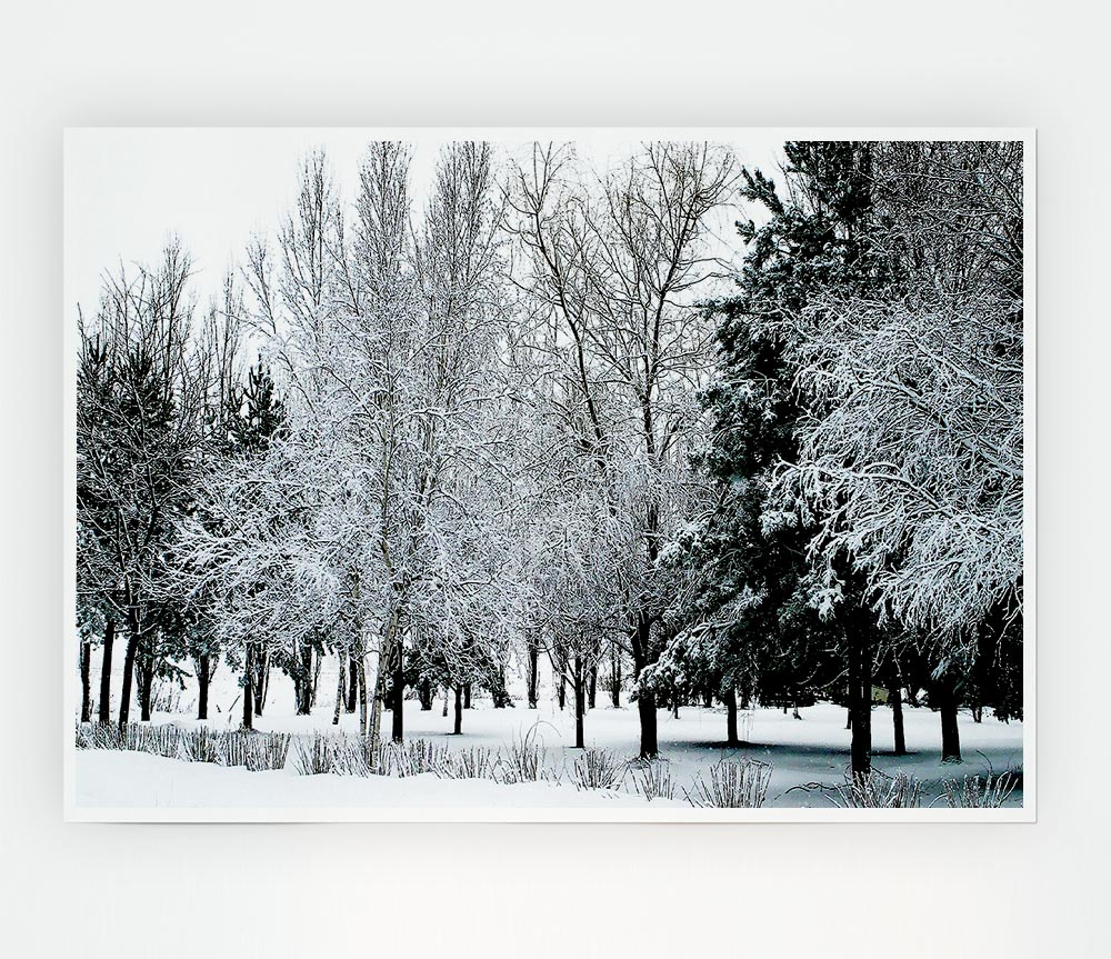 Winter In The Snow Forest Print Poster Wall Art