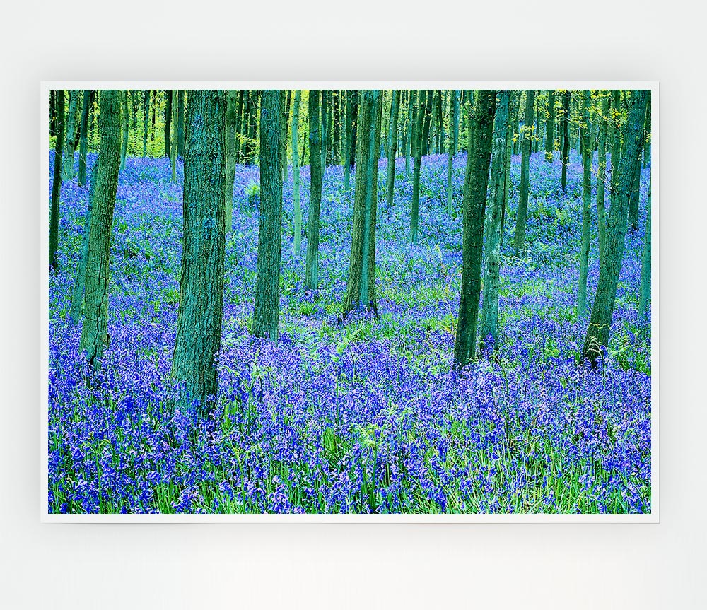 Bluebells In The Forest Print Poster Wall Art