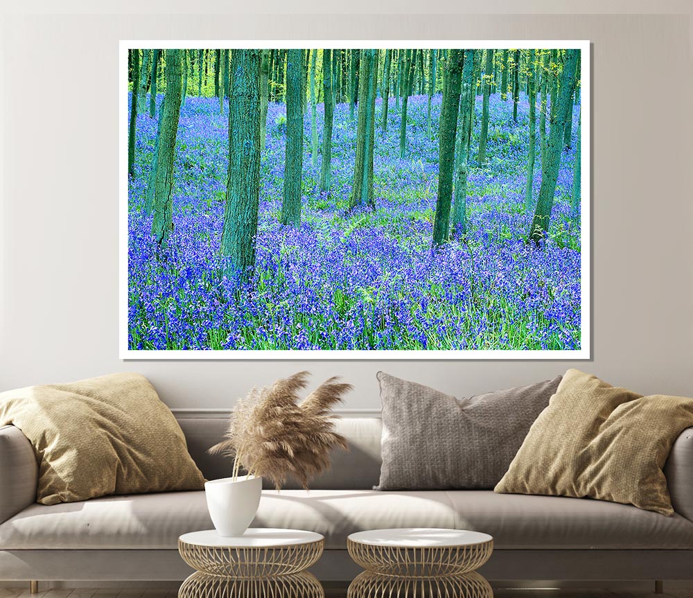 Bluebells In The Forest Print Poster Wall Art