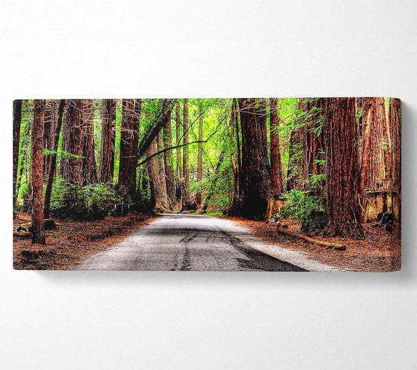 Green Forest Road