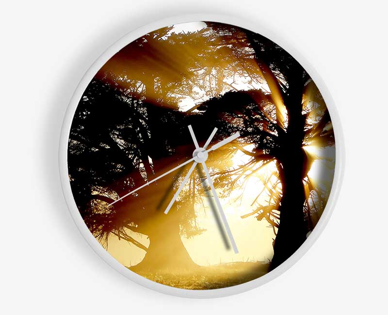 Trees With Sunlight Clock - Wallart-Direct UK