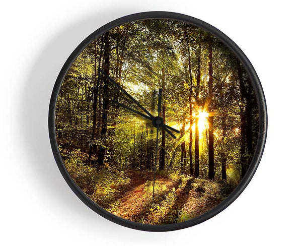 Forest In Late Afternoon Clock - Wallart-Direct UK