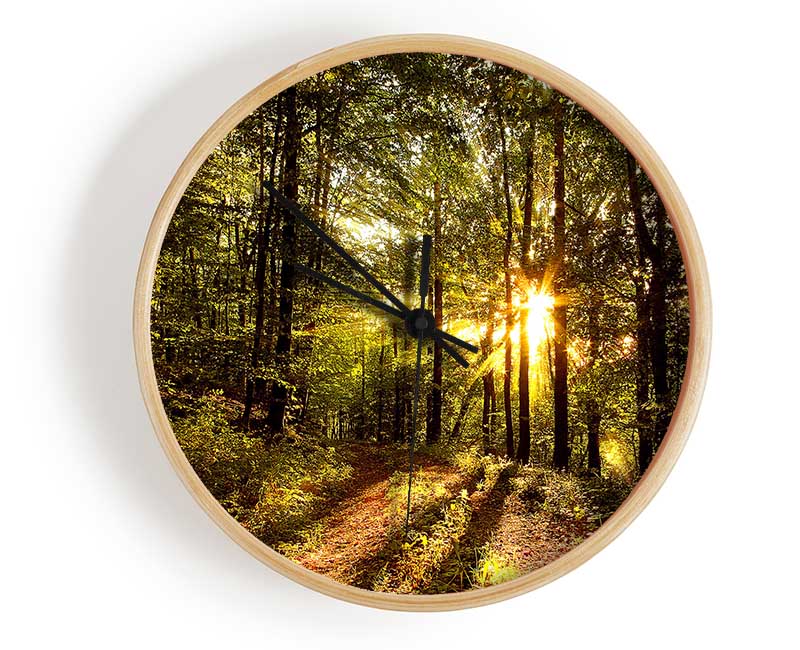 Forest In Late Afternoon Clock - Wallart-Direct UK