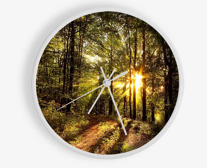 Forest In Late Afternoon Clock - Wallart-Direct UK
