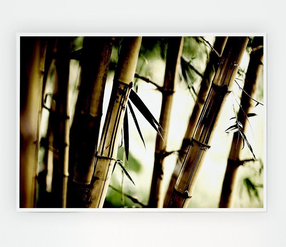 Bamboo Stalks Print Poster Wall Art