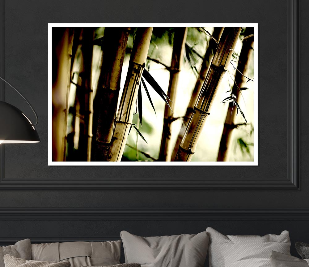 Bamboo Stalks Print Poster Wall Art