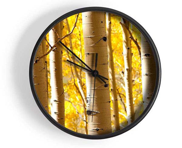 Birch Trees Clock - Wallart-Direct UK
