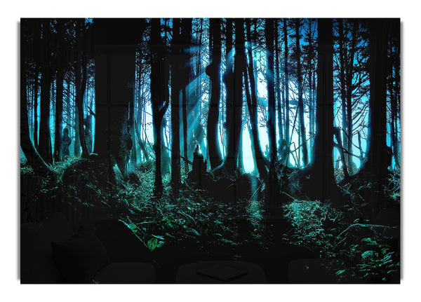 Geheimnisvoller Wald