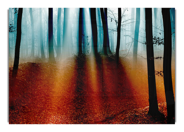 Herbstwald 5