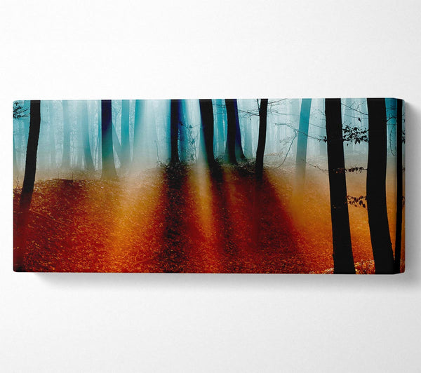 Herbstwald Blaue Sonnenstrahlen