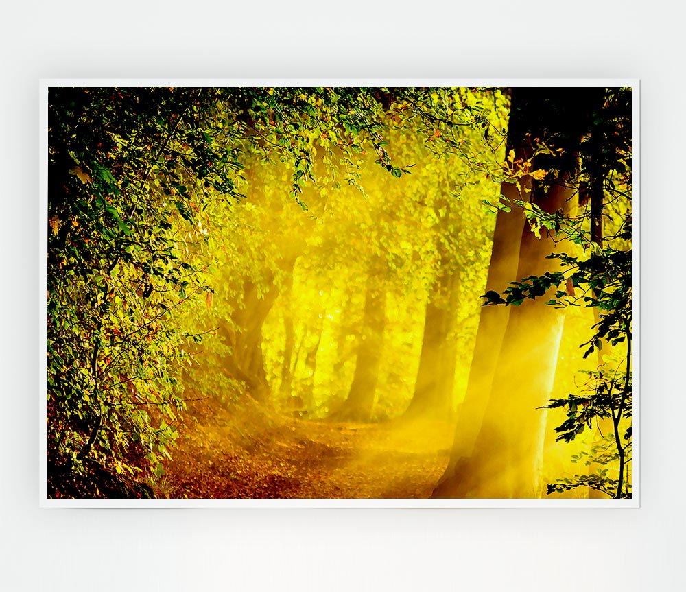 Enchanted Forest Print Poster Wall Art