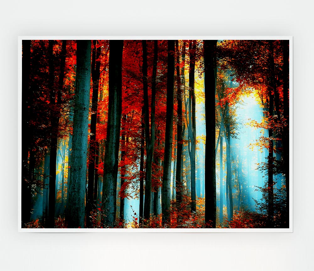 Blue Light Through The Orange Woodland Print Poster Wall Art