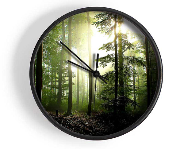 Coniferous Forest Clock - Wallart-Direct UK