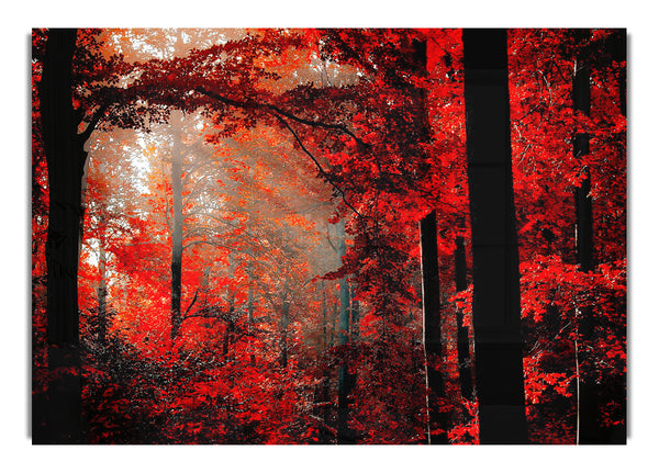 Red Forest 2