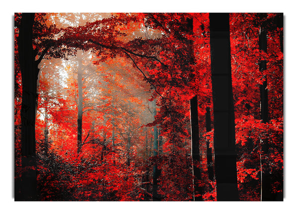 Roter Wald 2